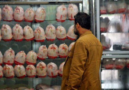 خبر مهم استانداری تهران درباره کنترل بازار مرغ/ ترمز افزایش قیمت مرغ کشیده شد؟