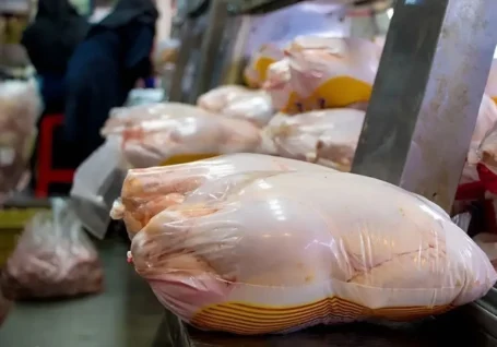 کاهش قیمت مرغ در تبریز و آذربایجان شرقی