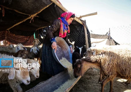 غبار فراموشی بر یک میراث بومی خراسان شمالی