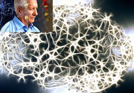 عامل زوال عقل و آلزایمر، «ترافیک پروتئین» است