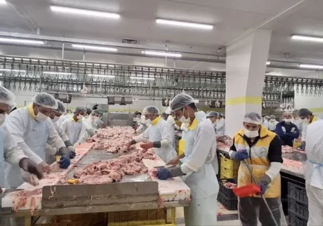 زنجیره مرغ گلستان زیر فشار هزینه ها / تأخیر نهاده ها، تعادل بازار مرغ را برهم زد