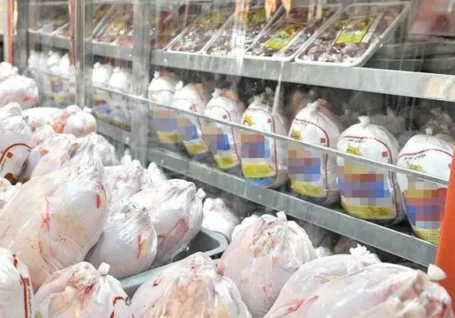 ثبات قیمت گوشت مرغ در مازندران با افزایش جوجه ریزی