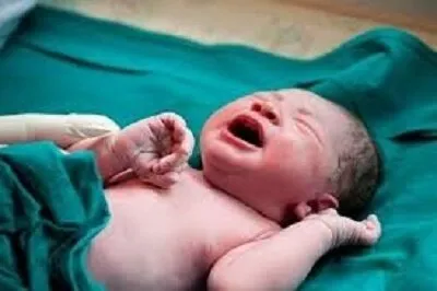 ثبت ۱۷ هزار و ۵۲۵ ولادت در کردستان / کاهش ۱۷ درصدی ازدواج و ۲۲.۵کرصدی طلاق