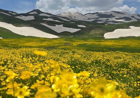 عکس دیدنی: قابی از بهشت در ارتفاعات اشنویه