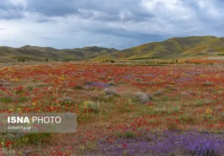 ایران زیباست | طبیعت هزار رنگ جلگه ارومیه